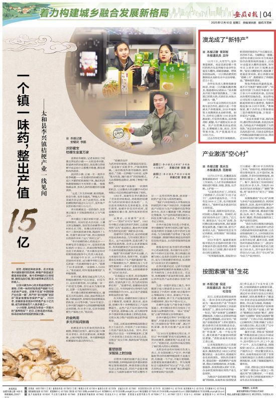 《安徽日报》（2025年12月10日4版）