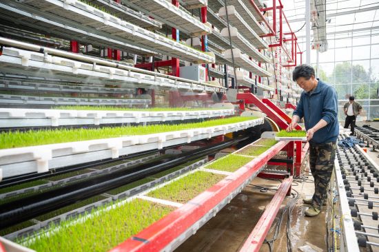 一版，年终特稿配图）(4855193)-20260114233408