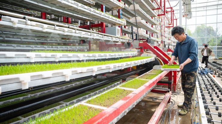 和美鄉(xiāng)村的皖東“長(zhǎng)鏡頭”