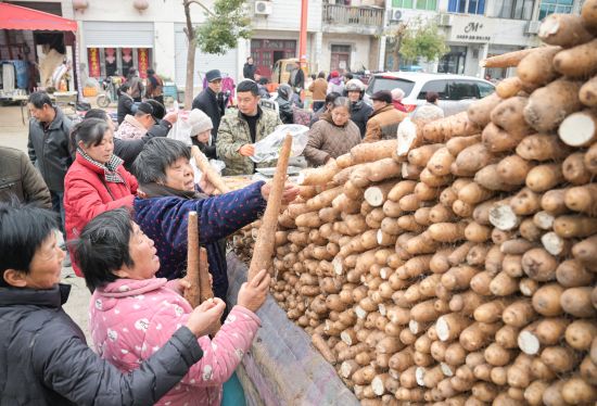 LZY_9693a(4972072)-20260206093242