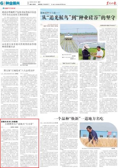 《农民日报》（2026年2月9日6版）