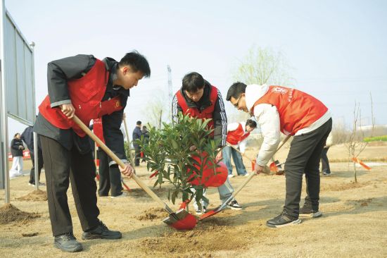 植树1
