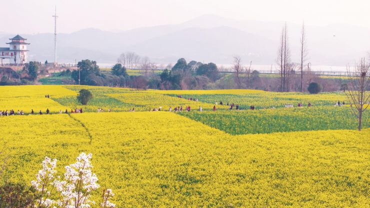 ����̤��