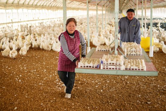 DSC_7644 拷贝(5136524)-20260325094206