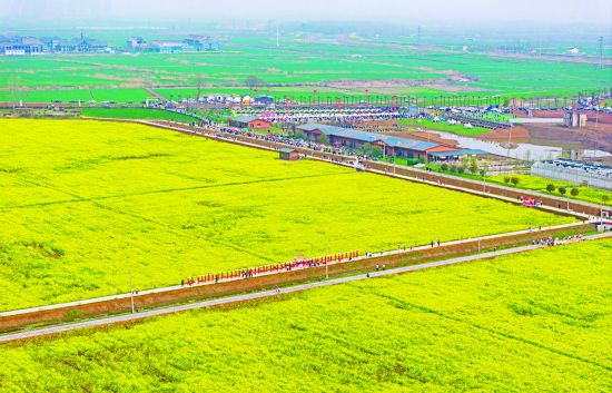 一版图(5168455)-20260403094501