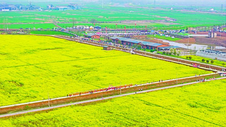 春风拂沃野 花田聚欢歌