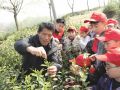 井楠“茶”有约 研学赴春光