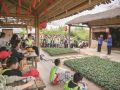 红色研学到小岗