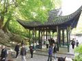 乐享好春光