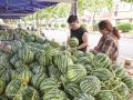 西瓜地图上线 暖瓜农惠市民
