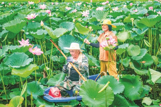 荷塘