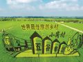 稻浪为纸绘丰年