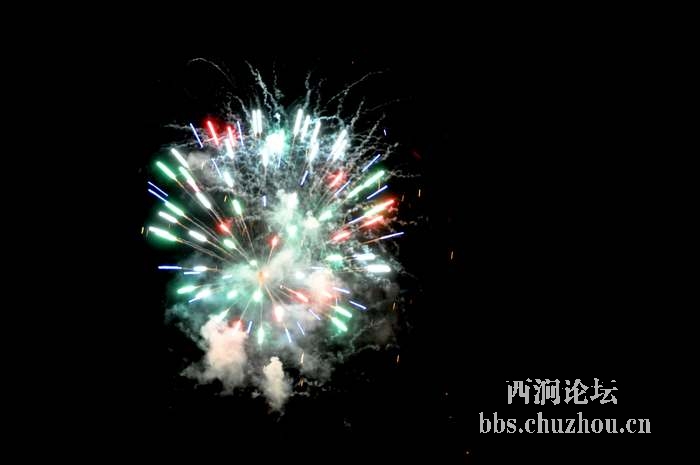 DSC_0081.jpg DSC_0081.jpg