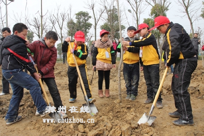 在线小记者在共同植树。