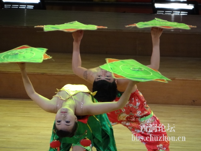 DSC05236.JPG DSC05236.JPG