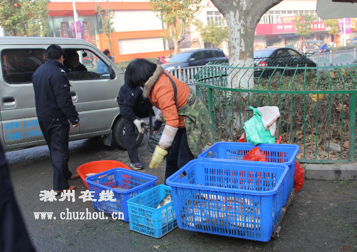滁州在线-社会民生-“女汉子”耍横无果乖乖受罚