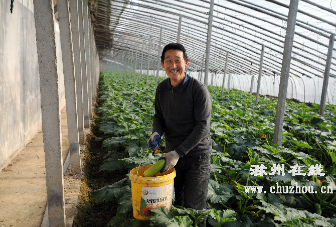 滁州在线-滁州要闻-新型农民培训助力菜农增产创收