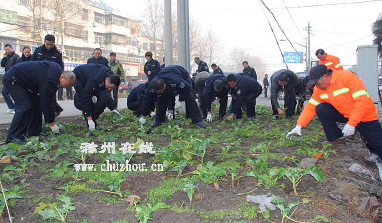 滁州在线-社会民生-滁州：整治五乱，扮靓“北大门”
