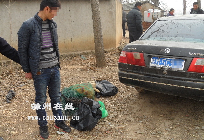 滁州在线-社会民生-滁州定远：蟊贼着报废轿车一路偷鸡摸狗