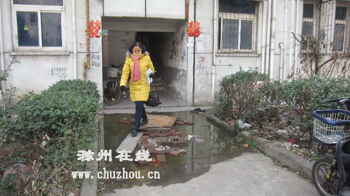 粪便淹没路面，居民无奈垫路出行