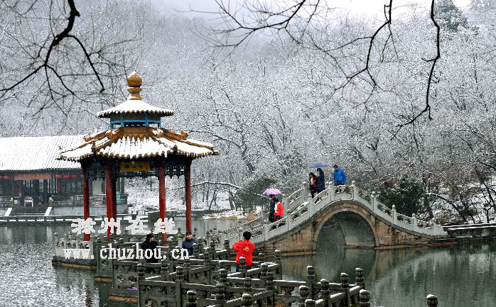 滁州在线-社会民生-上班第一天，雪花飘来滁州“拜年”