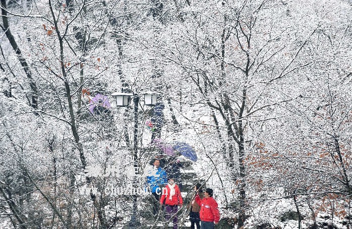 滁州在线-社会民生-上班第一天，雪花飘来滁州“拜年”