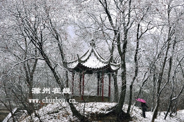 滁州在线-社会民生-上班第一天，雪花飘来滁州“拜年”