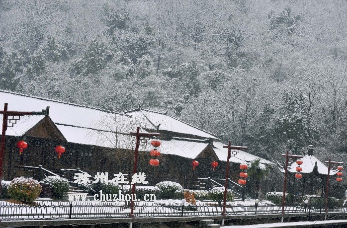 滁州在线-社会民生-上班第一天，雪花飘来滁州“拜年”
