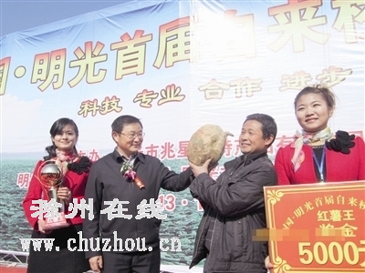 滁州在线-社会民生-“红薯王”领奖