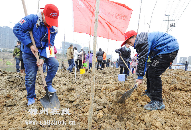 滁州在线-滁州要闻-义务植树造林 建设美丽滁州
