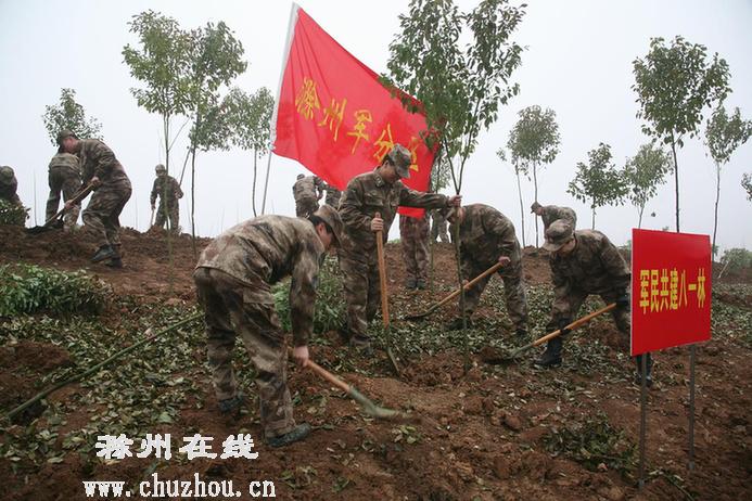 滁州在线-滁州要闻-为第二故乡增绿添彩