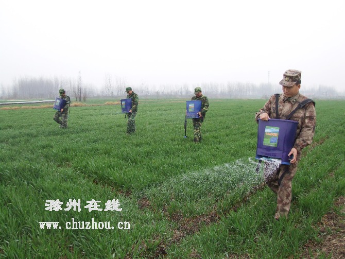 滁州在线-滁州要闻-天长组织青年民兵助春耕