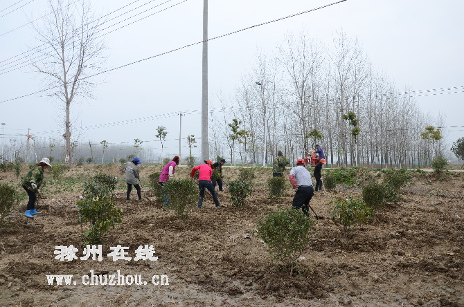 滁州在线-滁州要闻-植树造林助推“三线三边”整治