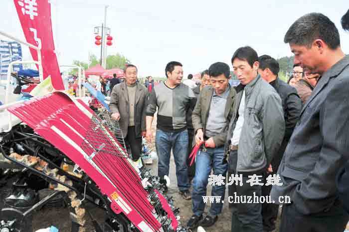 滁州在线-滁州要闻-文化节