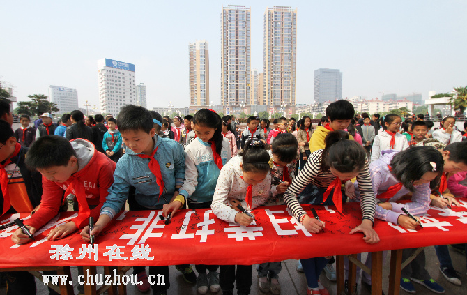滁州在线-滁州要闻-集中销毁侵权盗版及非法出版物