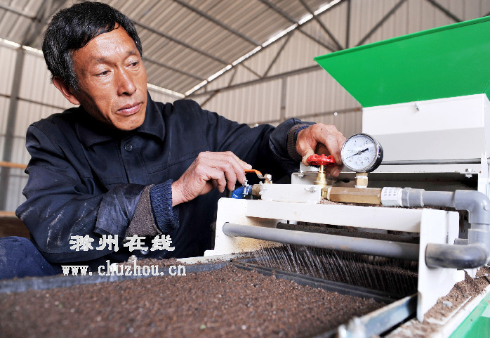 滁州在线-社会民生-滁州南谯：工厂化培育水稻秧苗