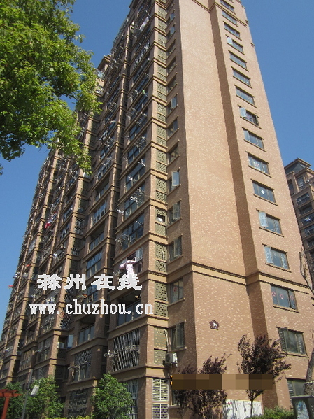 滁州在线-社会民生-滁城一名幼童13楼坠下夭折