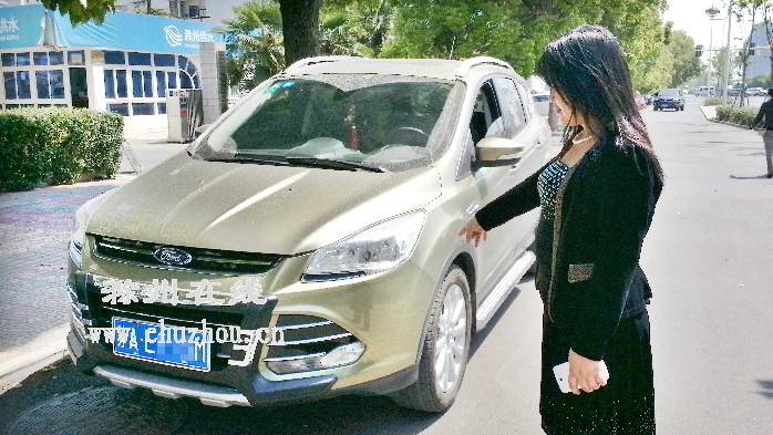 滁州在线-社会民生-图为李女士购买的车辆。