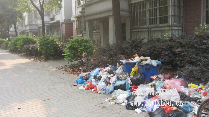 滁州在线-社会民生-滁州：盛世华庭9号楼前垃圾成堆无人问