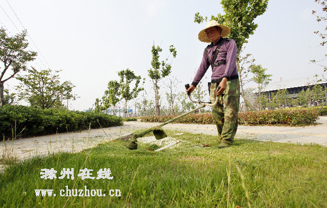 滁州在线-滁州要闻-滁州大道：一路直达三座城