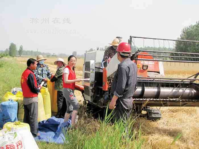 滁州在线-滁州要闻-秸秆