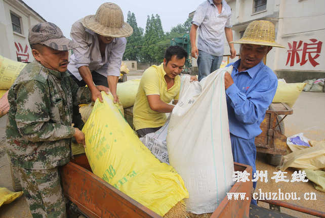 滁州在线-滁州要闻-定远农民 喜售夏粮