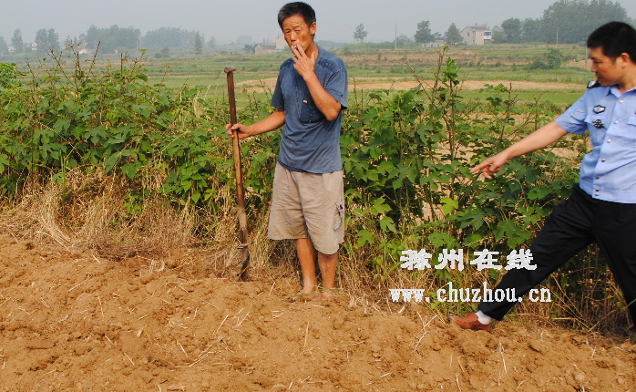 滁州在线-社会民生-滁州天长:老汉挖出12颗子弹 滁州在线-社会民生-滁州天长:老汉挖出12颗子弹