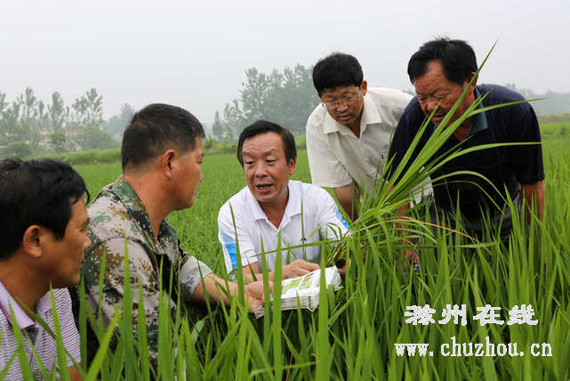滁州在线-滁州要闻-结对帮扶 服务农民