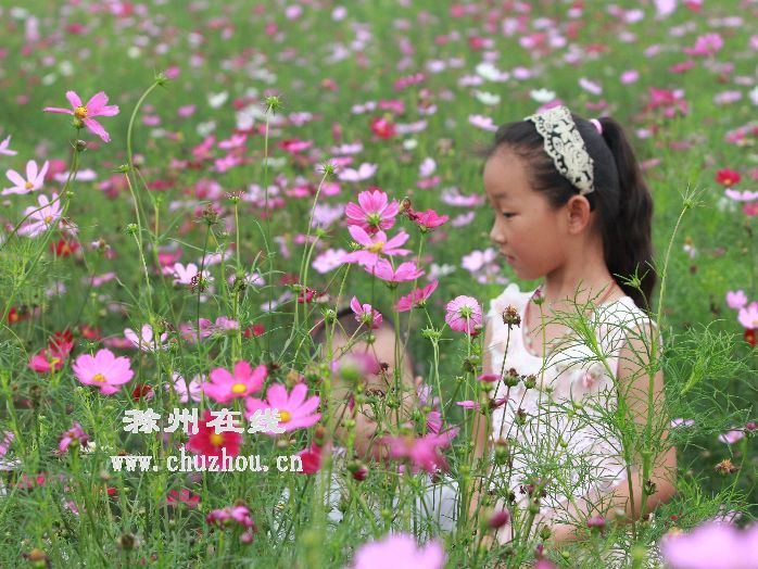 滁州在线-社会民生-滁州：小岗旅游新亮点