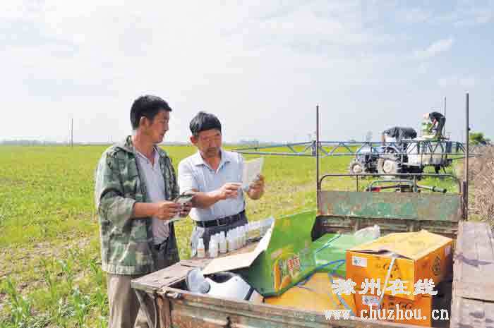 滁州在线-滁州要闻-田间