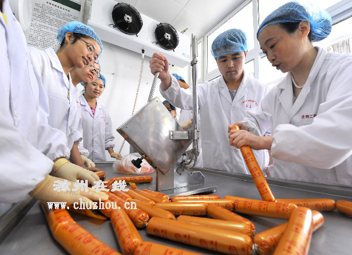 滁州在线-社会民生-滁州：大学生暑期实训强技能