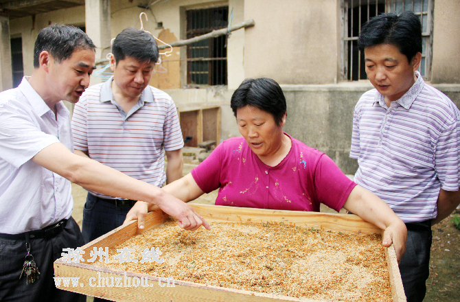 滁州在线-滁州要闻-特色养殖 致富农家