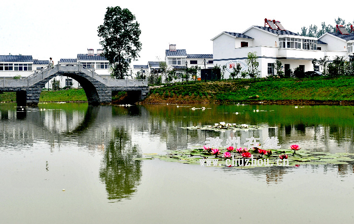 滁州在线-社会民生-滁州：绿色环保新农家