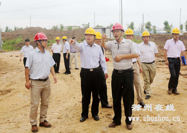 滁州在线-滁州要闻-按照“三严三实”要求 真帮实扶加快项目建设